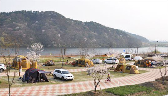 청양동강리오토캠핑장