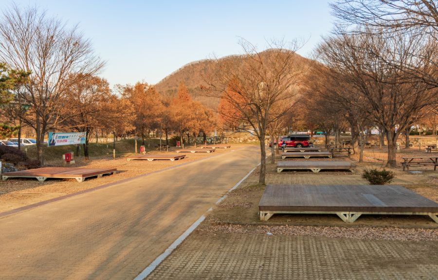 자라섬 캠핑장