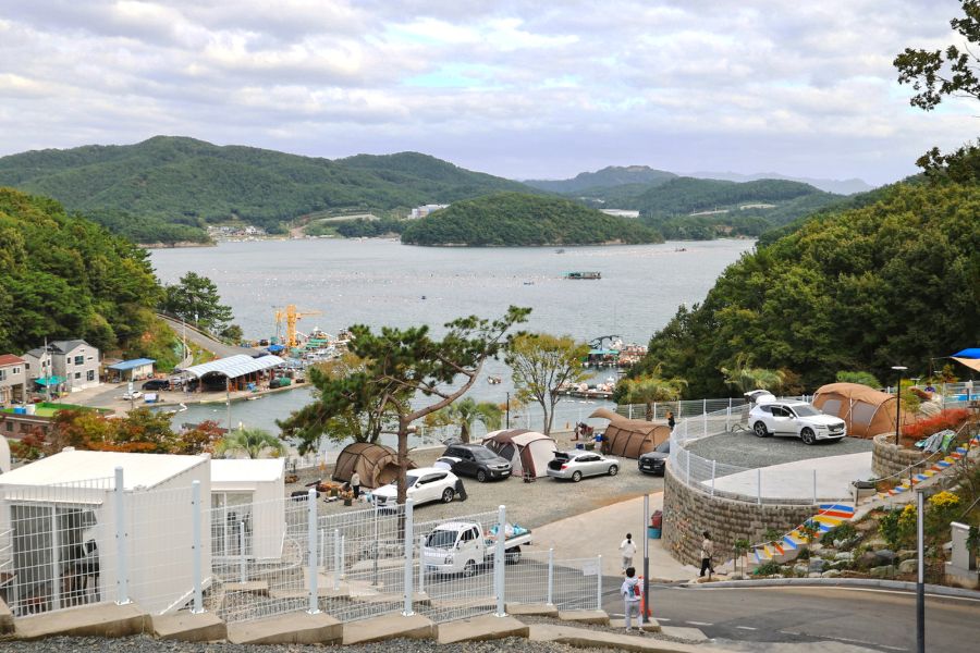 더 숨 포레스트