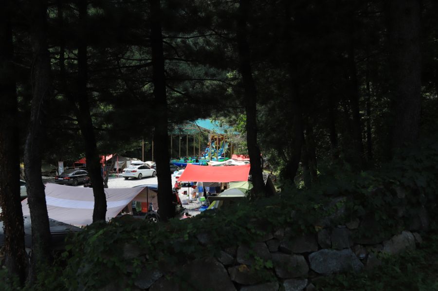 피노키오숲 자연휴양림 야영장