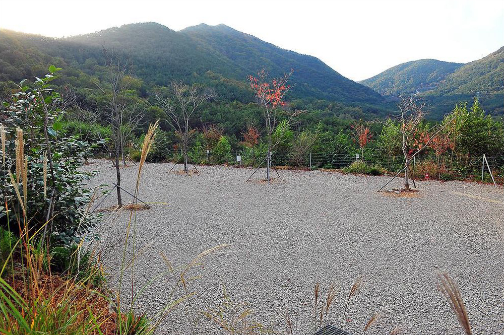 충효테마관광농원야영장 (대충캠핑장)