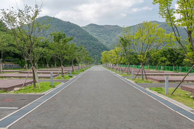 산꽃벚꽃 오토캠핑장