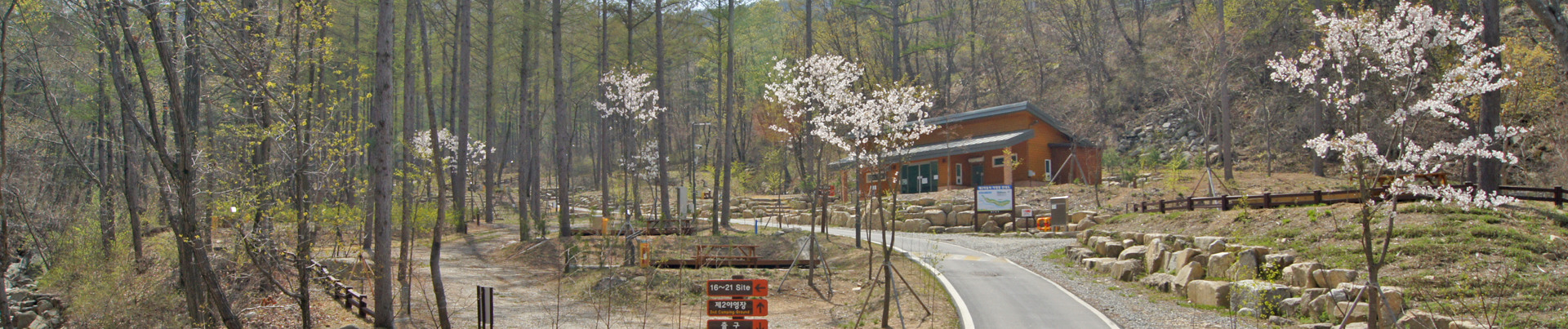 국립화천숲속야영장 오토캠핑장