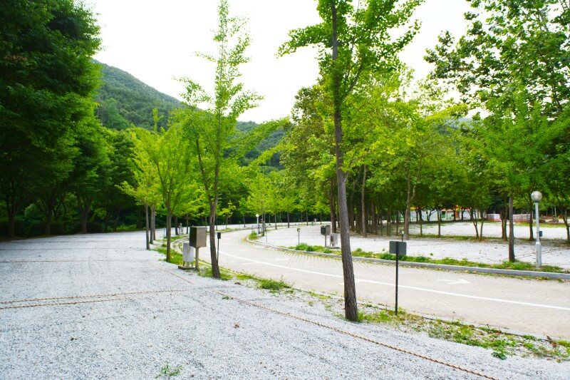방화동가족휴가촌 오토캠핑장