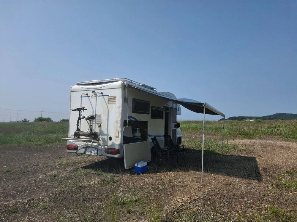 주요 옵션