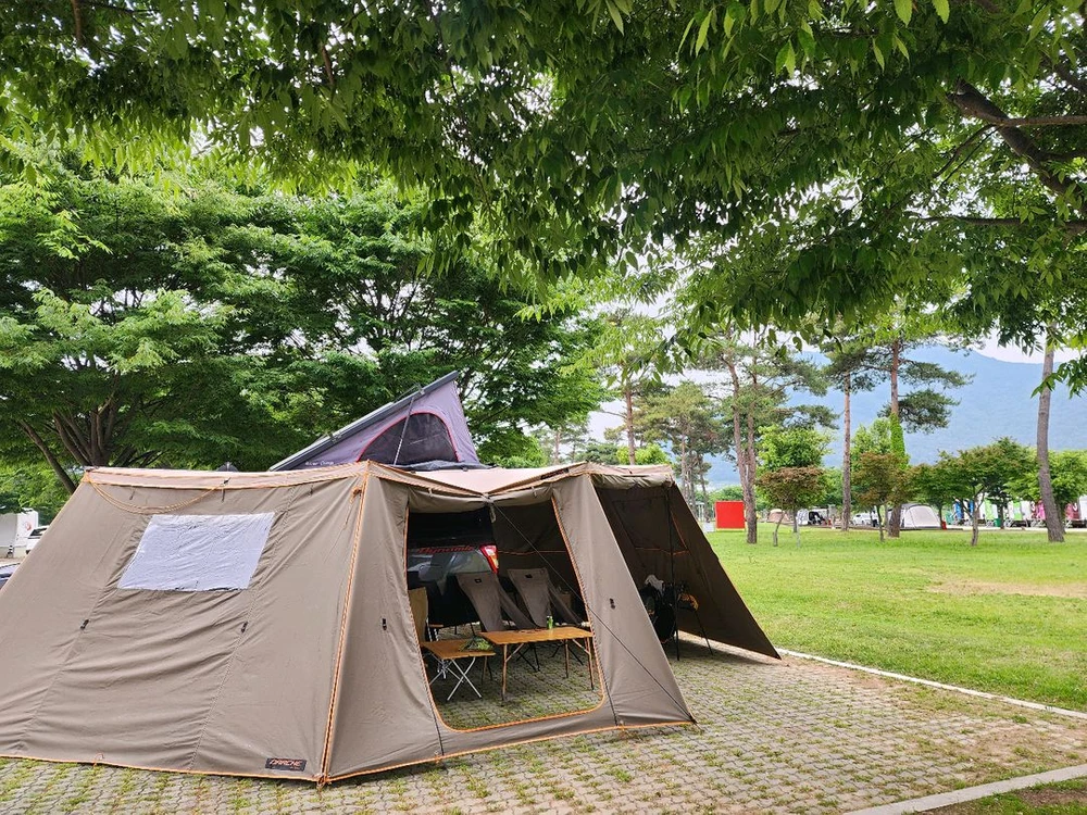 캠핑 구조